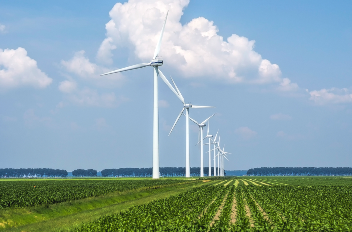 太阳城官网(中国)集团有限公司