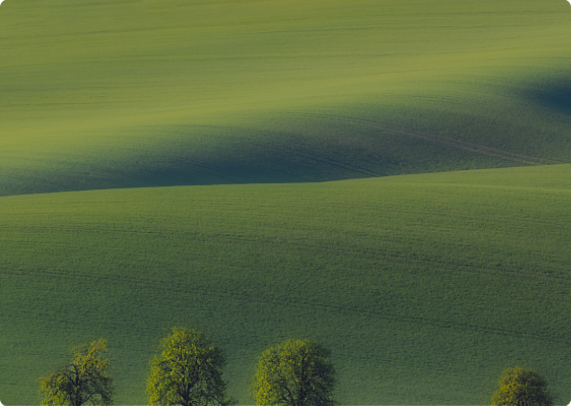 太阳城官网(中国)集团有限公司